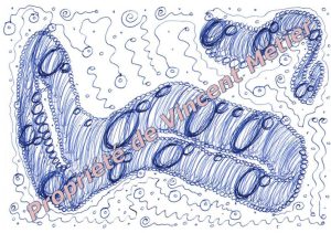 Vincent Métier - Dessin canalisé - Art Médiumnique - soin énergétique - Thérapie Quantique & Vibratoire